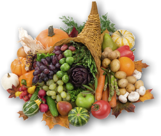 Cornucopia